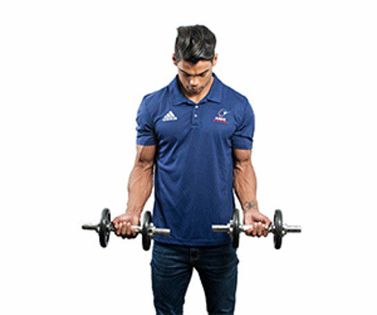 Muscle Hyperthrophy 2