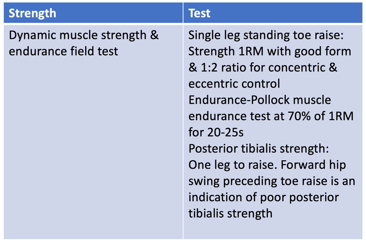 Soccer Sport Science Injuries - Lower Limb - Ankle & Foot - Ankle ...