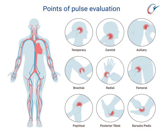 points-of-pulse-evaluation