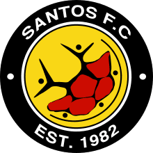 santos football club