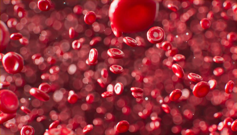 red blood cells