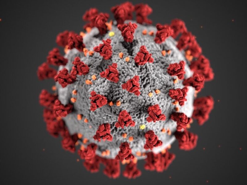 tests for covid-19 infection
